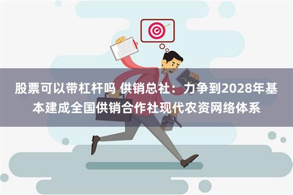 股票可以带杠杆吗 供销总社：力争到2028年基本建成全国供销合作社现代农资网络体系