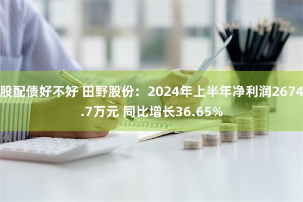 股配债好不好 田野股份：2024年上半年净利润2674.7万元 同比增长36.65%