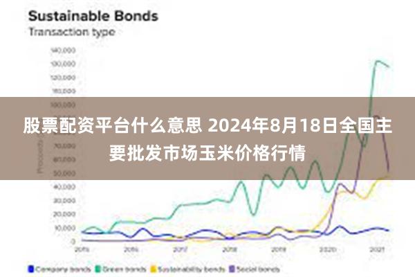 股票配资平台什么意思 2024年8月18日全国主要批发市场玉米价格行情