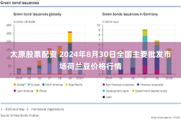 太原股票配资 2024年8月30日全国主要批发市场荷兰豆价格行情