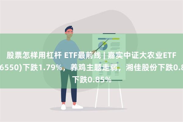 股票怎样用杠杆 ETF最前线 | 嘉实中证大农业ETF(516550)下跌1.79%，养鸡主题走弱，湘佳股份下跌0.85%