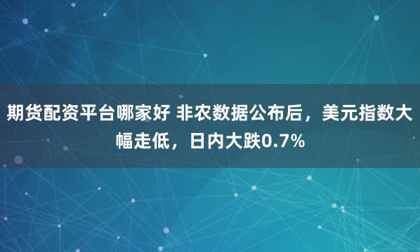 期货配资平台哪家好 非农数据公布后，美元指数大幅走低，日内大跌0.7%