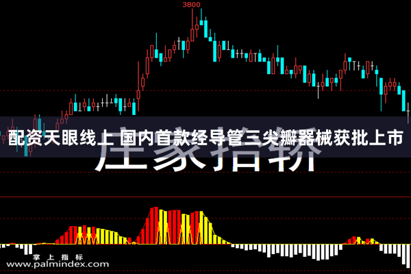 配资天眼线上 国内首款经导管三尖瓣器械获批上市